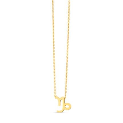14K Gold Capricorn Necklace