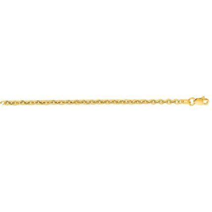 14K Gold 2.9mm Lite Forsantina Chain